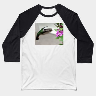 Hummingbird Baseball T-Shirt